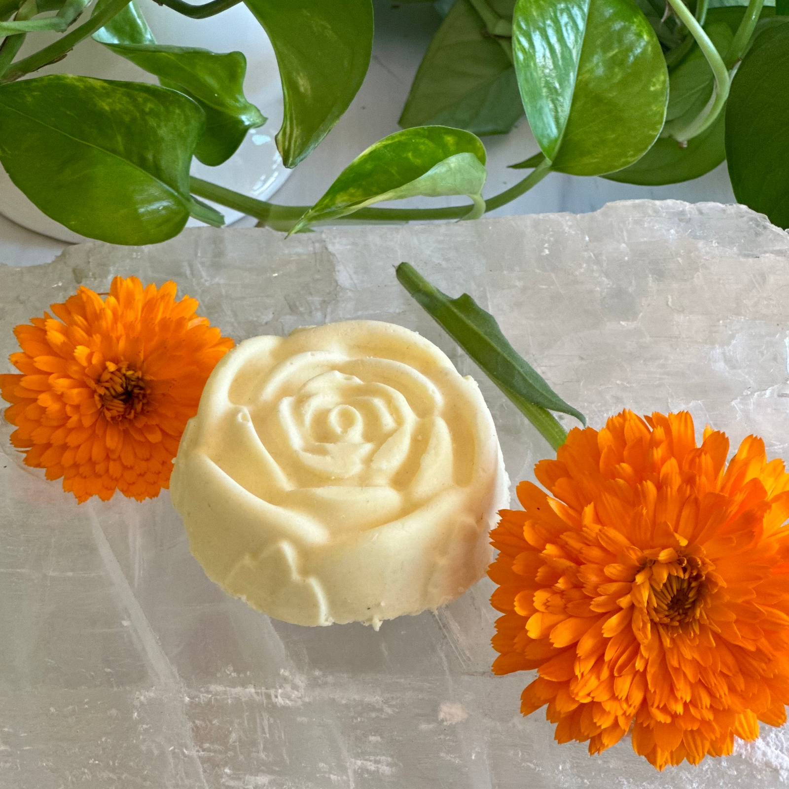 Calendula Jojoba Cleansing Bar