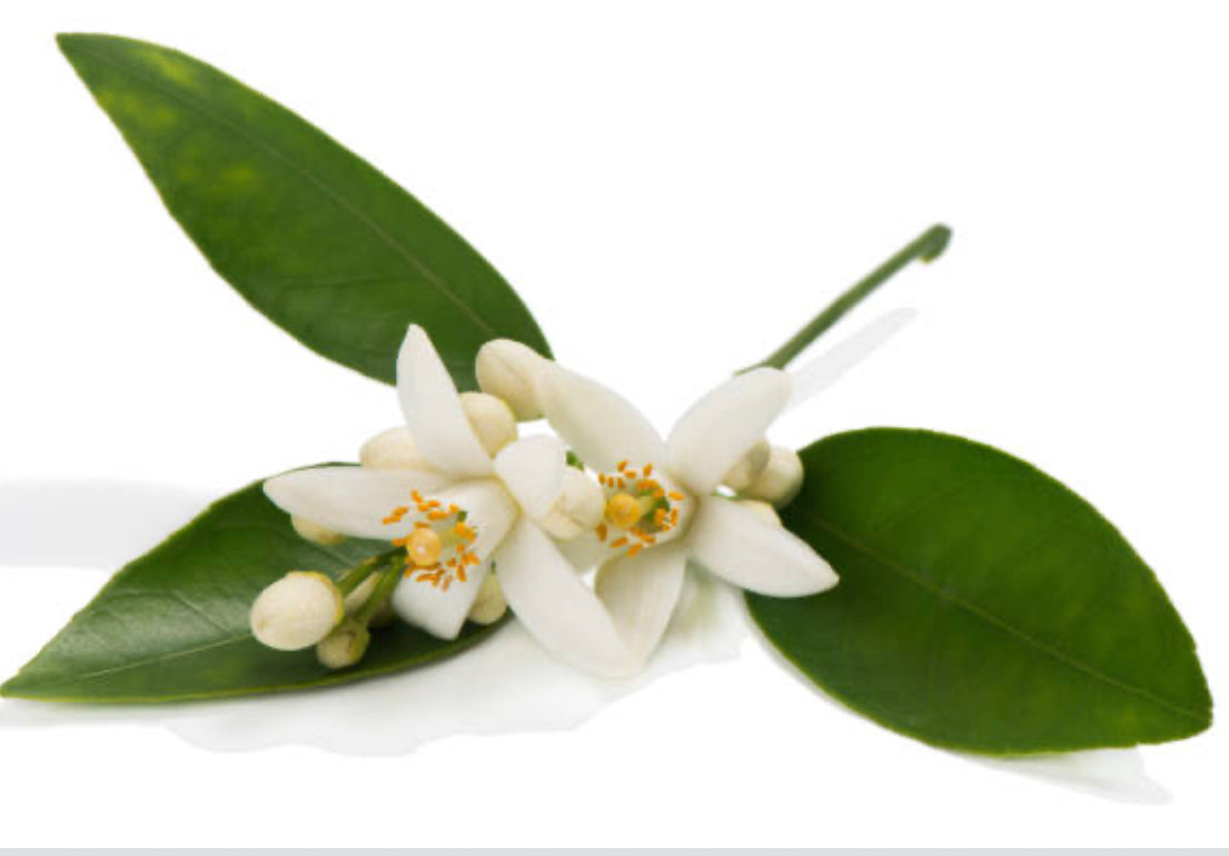 Orange Blossom Smoothing Toner